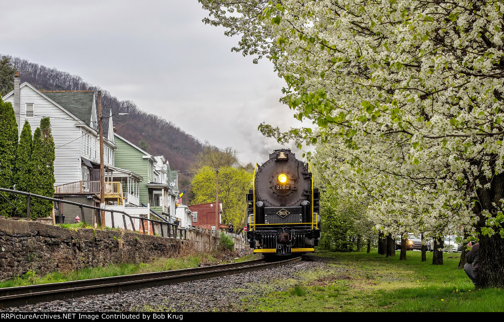 The Bradford pear trees lining Railroad Street in Tamaqua are in bloom as 2102 drifts down the grade into the center of town